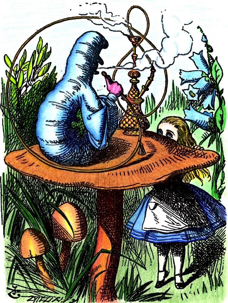 Alice in Wonderland Sticker / Decal Hippie Grateful Dead Rock n Roll Yeti Cup