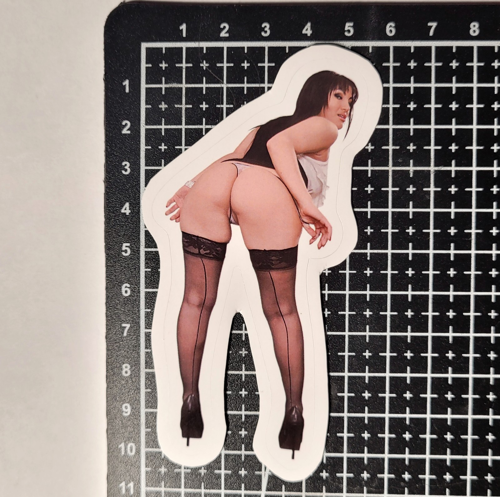 + BONUS Adult Film Actress Vinyl 13 HD Stickers Lot Booty PAWG Sexy Erotic Decor