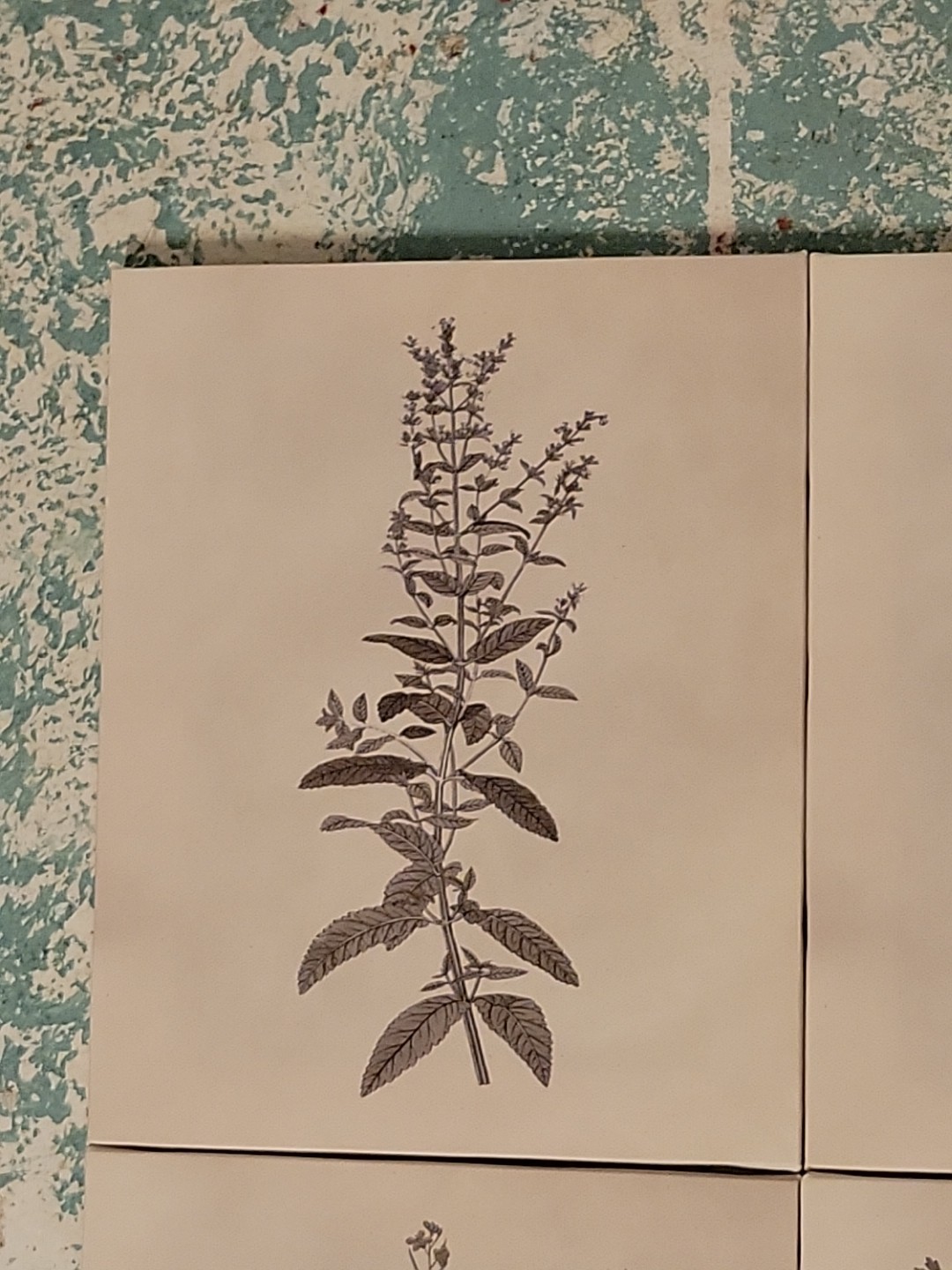 Set Of 4 8×10 Botanical Wall Art Plant Flower Prints Boho Floral Ready To Hang!