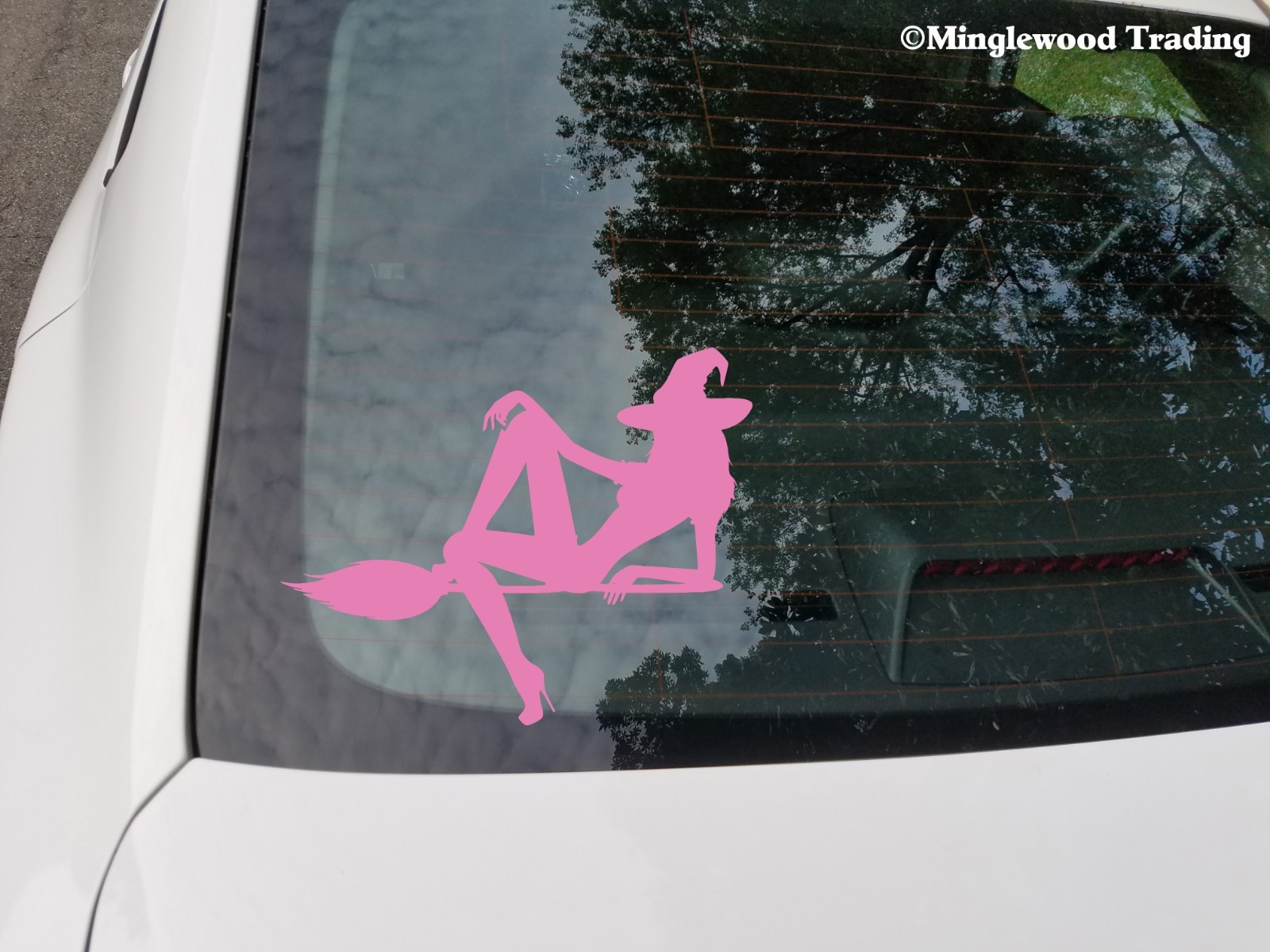 WITCH on BROOMSTICK Vinyl Decal Sticker -V3- Flying Halloween Sexy Witchcraft