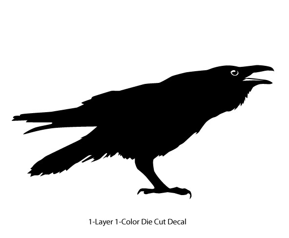 Wildlife – Birds – Cawing Raven/Crow/Corvid #1- 6Yrs Outdoor Vinyl Decal Sticker