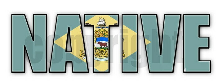 Delaware Native Flag Stickers Flag Decals Stickers
