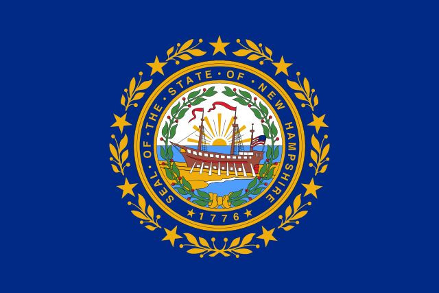 New Hampshire Flag Vinyl Decal / Sticker ** 5 Sizes **