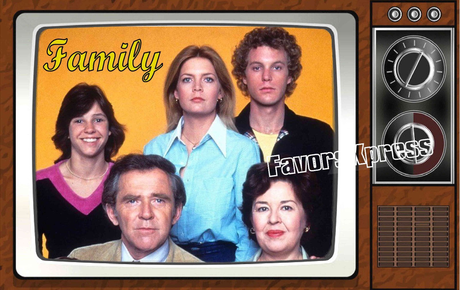 Family Classic TV Show PHOTO MAGNET 4 X 2.5 INCHES