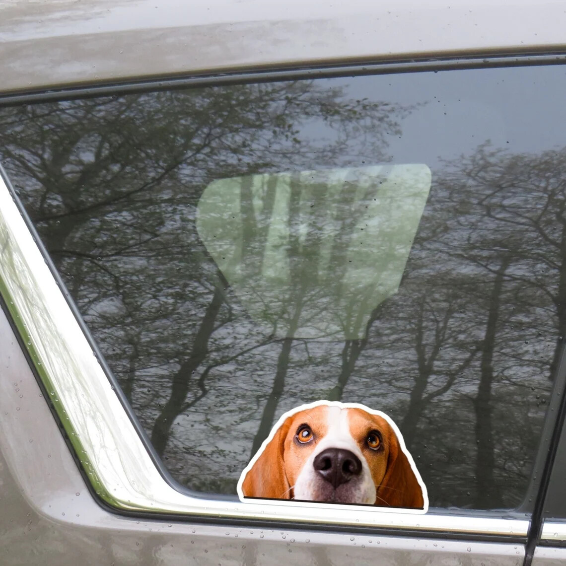 Peeking Beagle Car Sticker / Realistic Dog Head Vinyl Waterproof Removable Decal