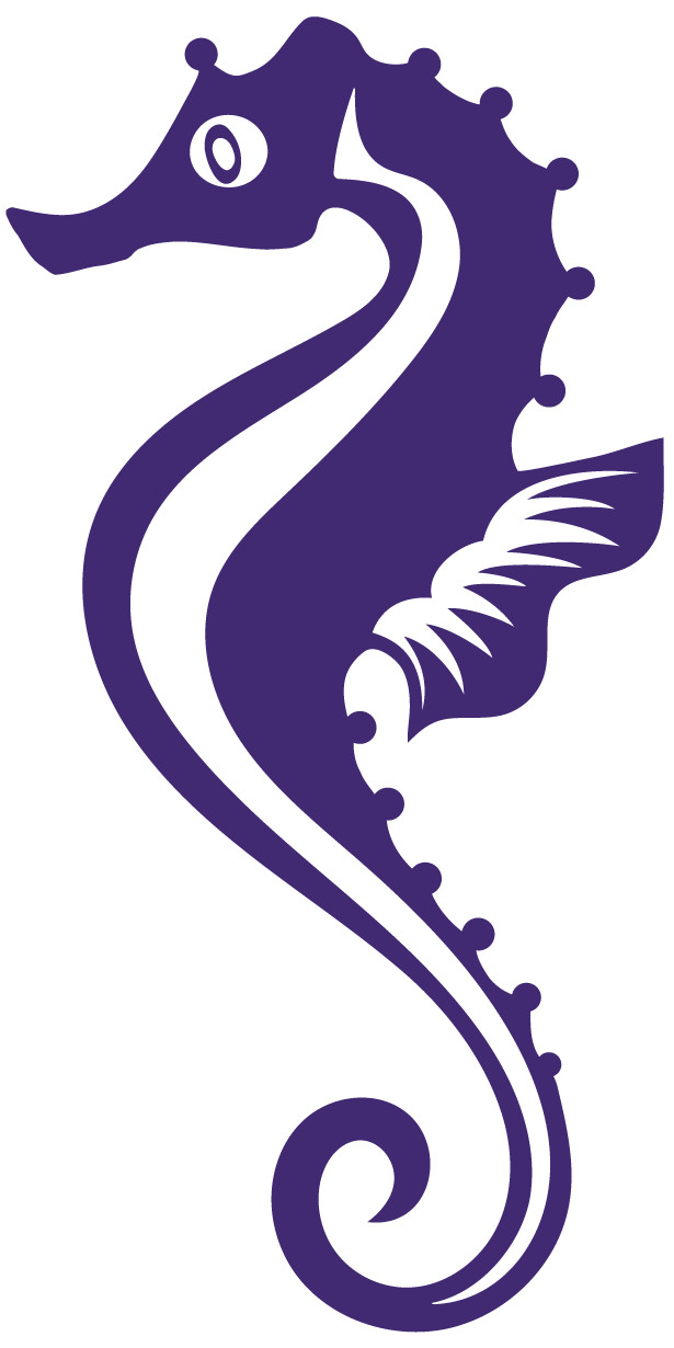 Sea Horse Decal Multicolor Made In USA