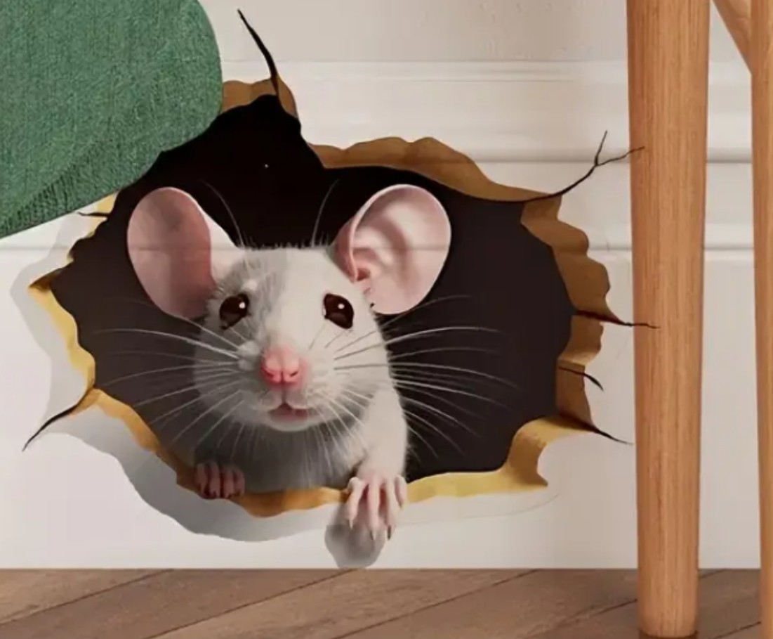 🤣1x Decal Prank Rat Mouse Hole In Wall Sticker Adhesive Room Bedroom Reusable