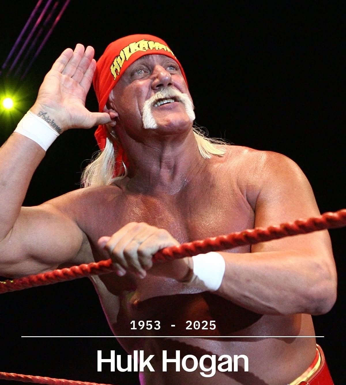 Hulk Hogan RIP Wrestling WWE Sticker Decal Laptop Wall Mirror Cup Tumblr Locker