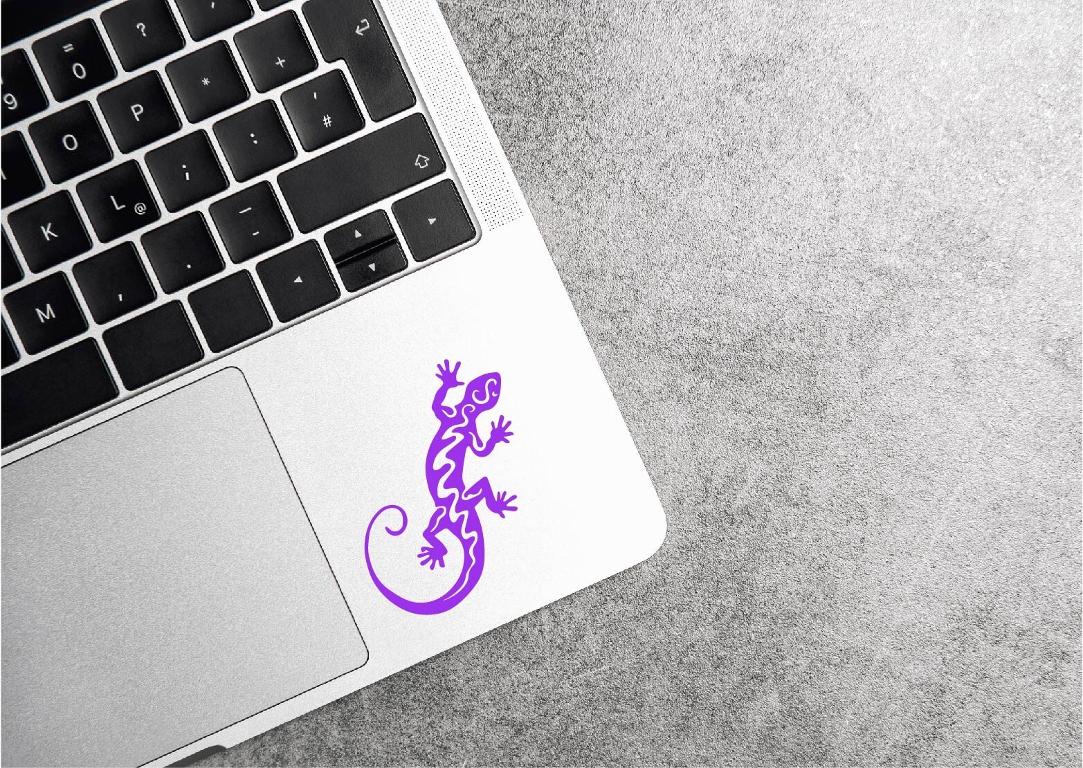 Gecko Decal Sticker Lizard Pet Reptile Love Sticky Feet Leopard Day Tokay Frog