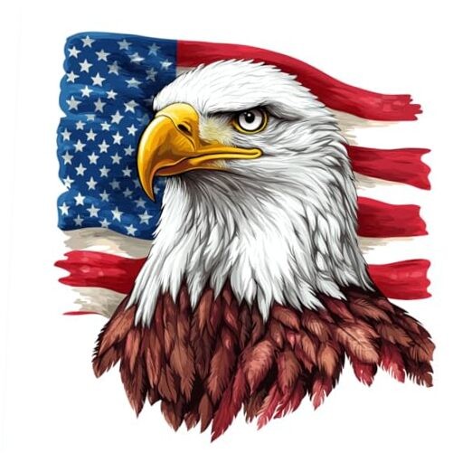 merican Bald Eagle Car Stickeruto Die Cut Decal for Bumper Window Rear Panel, A