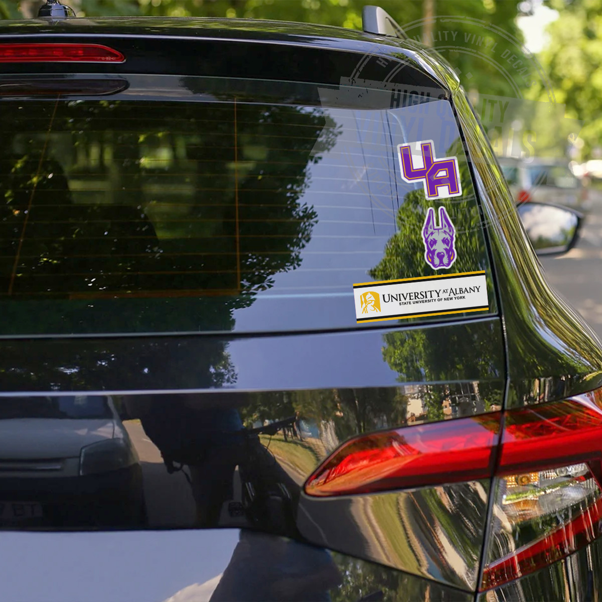 University at Albany NCAA A4 High Quality Printed Vinyl Decal Sticker Kit