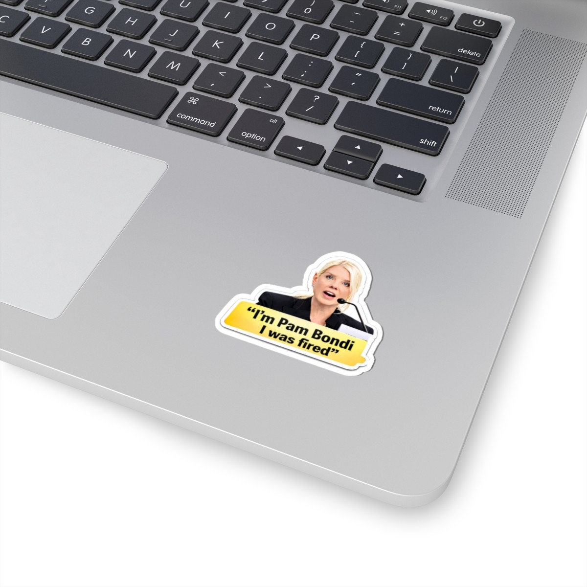 Pam Bondi Sticker, Anti Trump sticker, fdt, Political Humor Funny Liberal Satire