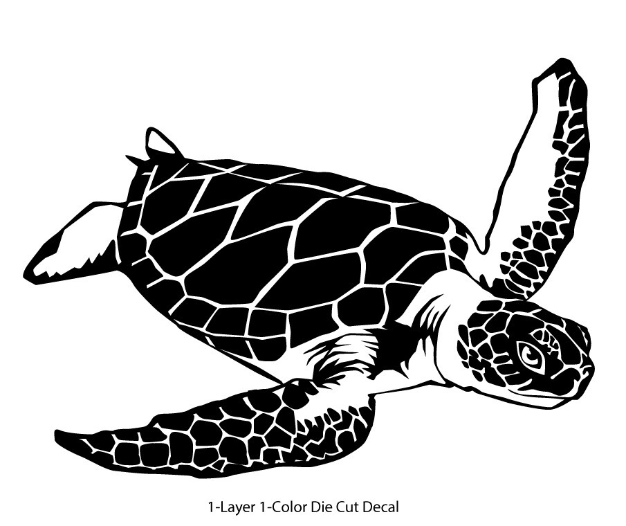 Sea life – Galapagos Ocean Turtle 1 Outdoor Window Decal Vinyl Sticker 6Yrs Film