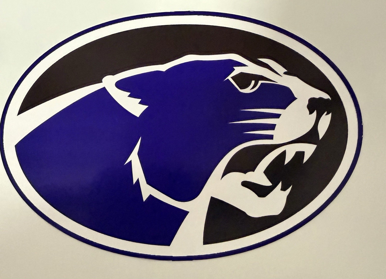 Central Community High School Cougars Regular Vinyl Decal