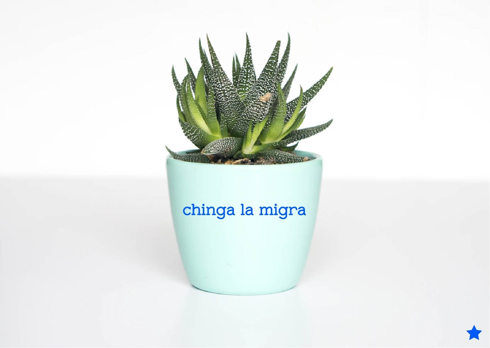 Chinga La Migra Decal Sticker Anti Ice Spanish Mexico No Kings F*** Trump MAGA