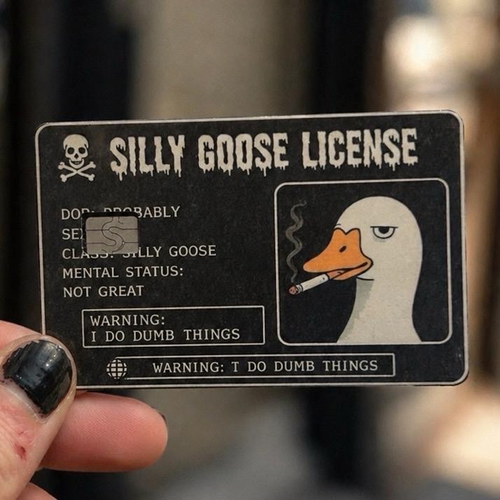 Silly Goose Credit Debit Card Skin Cover Sticker Chip Funny Decal – 2 Pack