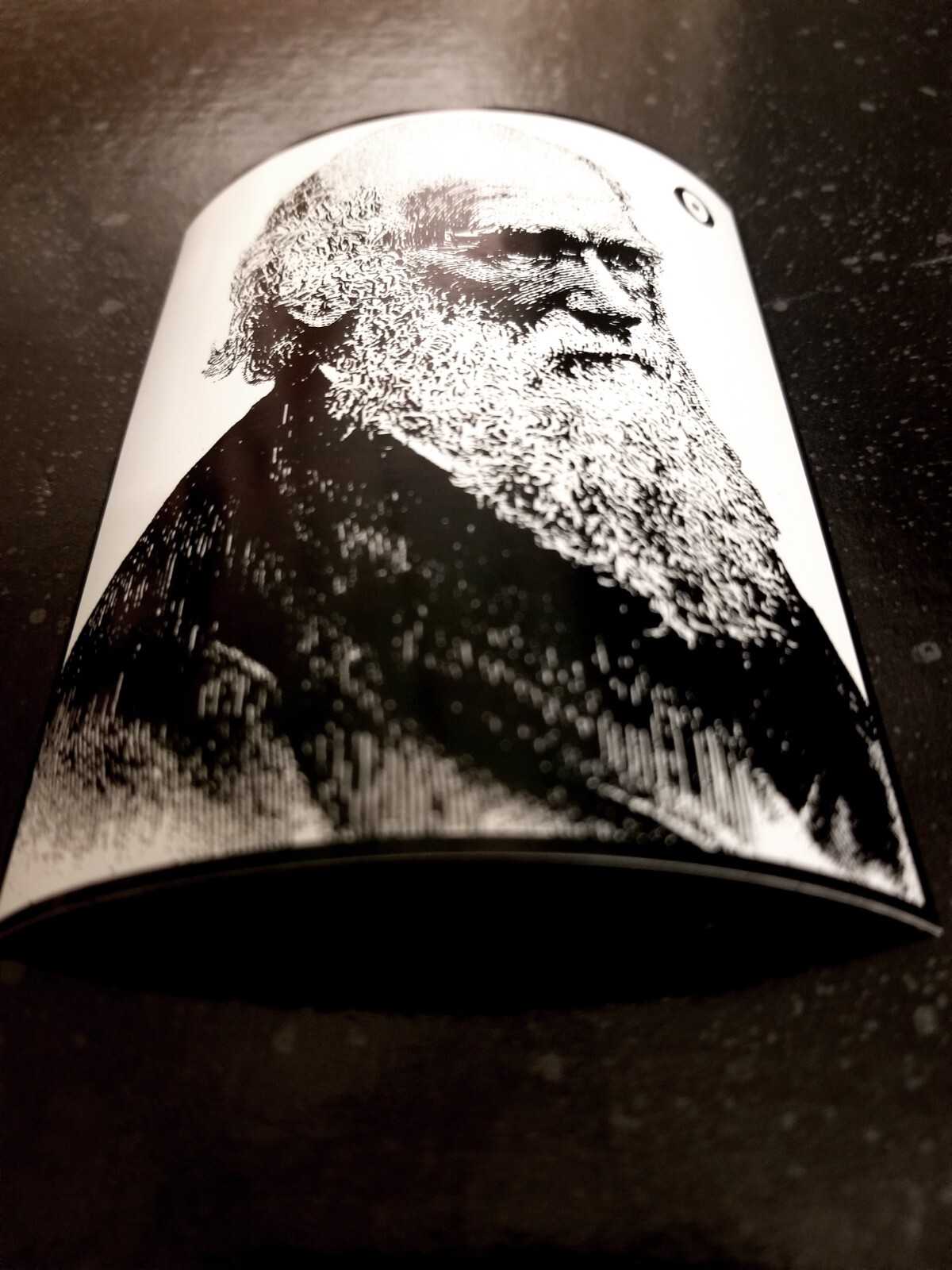 ♆ Charles Darwin 4 x 3" Waterproof Vinyl Sticker [💪 HQ Durability!] Evolution