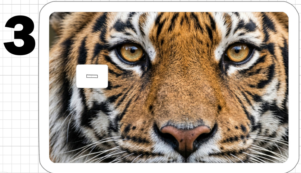 Tiger Face ATM Debit Credit Gift Card Sticker Skin Rainbow Cat White Bengal Eyes