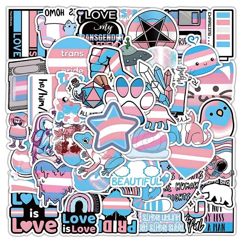 10 Random Trans Pride Sticker Set Decal Pack Laptop Car Yeti Hydro Free Shipping