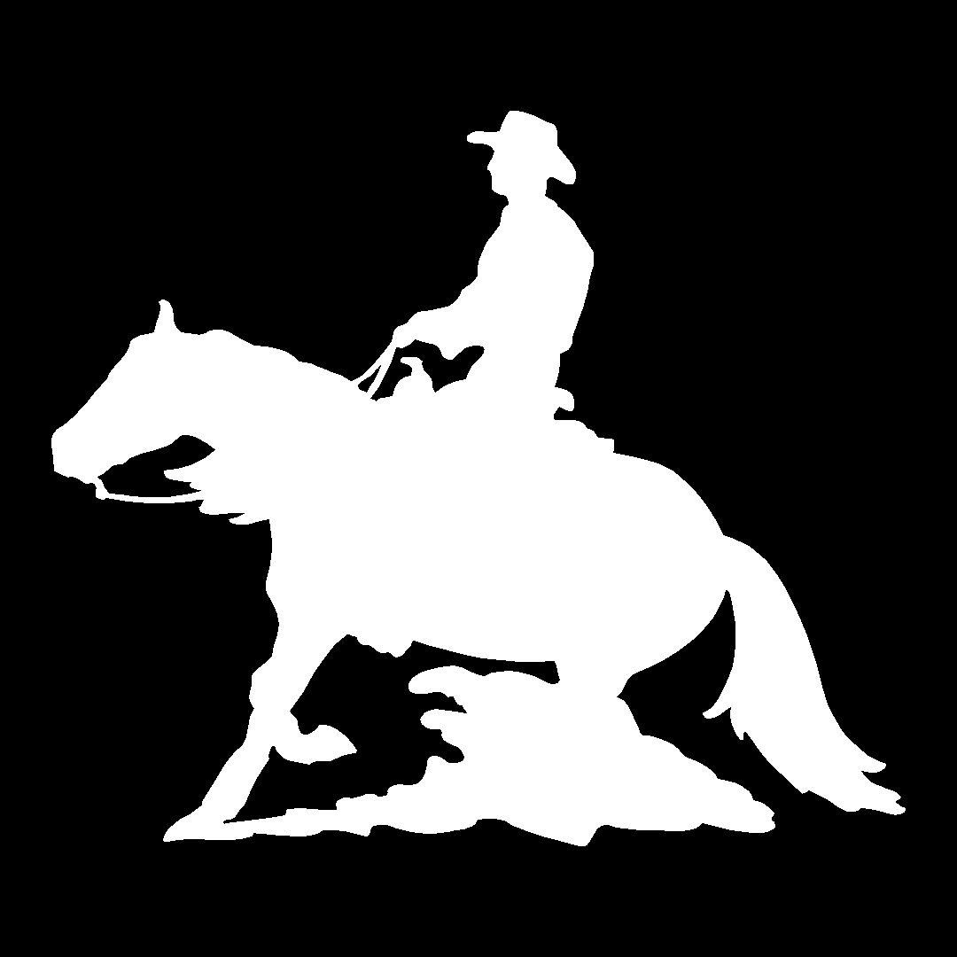 REINING HORSE Vinyl Decal (3 Sizes, 12 Colors) SD