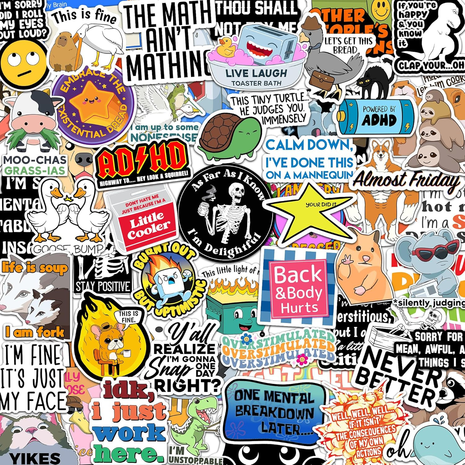 73 Pcs Funny Stickers for Adults Dirty Humor, Water Bottles Waterproof Cool Stic