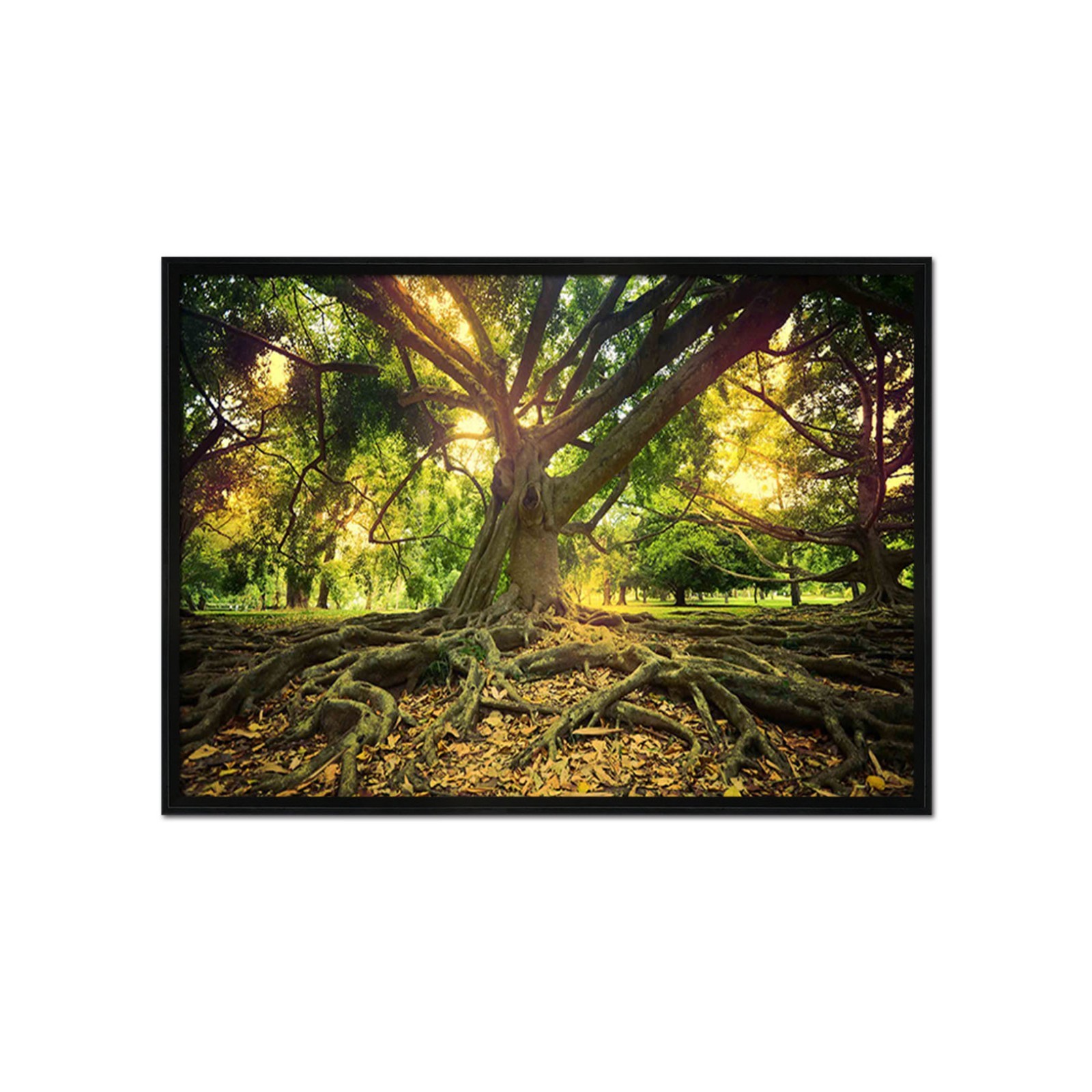 3D Tall Tree 4 Framed Poster Home Decor Print Painting Art AJ WALLPAPER