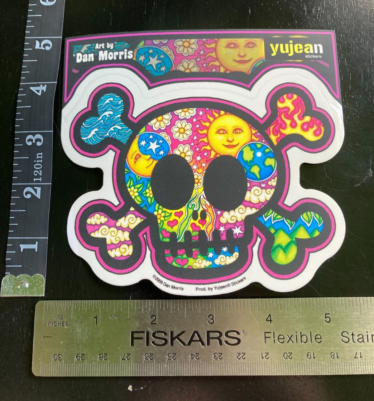 Cute Skull Moon Stars Air Earth Water Fire Window Sticker Art by Dan Morris