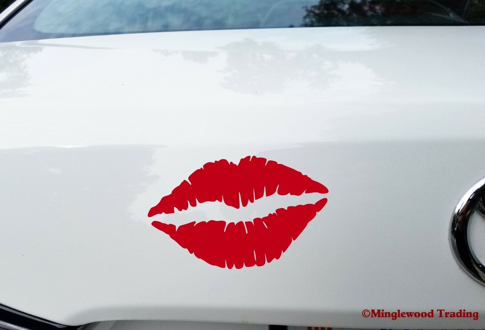 Lips Vinyl Decal – Pucker Up Kiss Lipstick – Die Cut Sticker