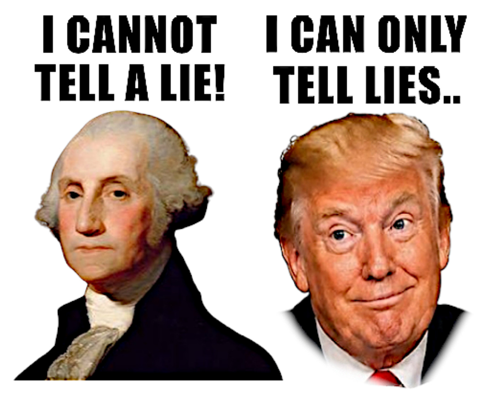 I Can Only Tell Lies, 5pc Bundle Anti-Trump Die Cut Vinyl Sticker, 2"W x 1.75"H