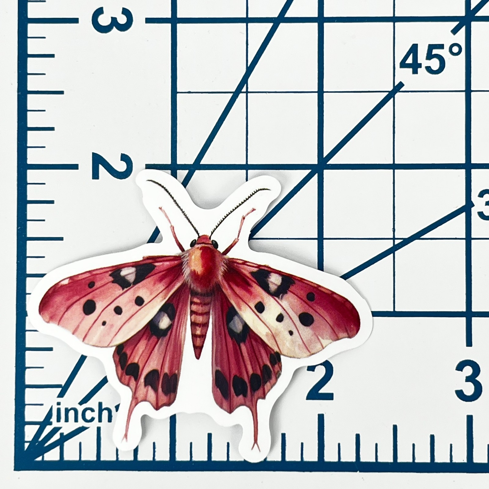 Spotted Crimson Moth Vinyl Sticker Vintage Pink Insect Journal Laptop Scrapbook