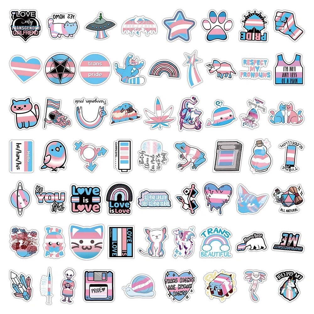 10 Random Trans Pride Sticker Set Decal Pack Laptop Car Yeti Hydro Free Shipping