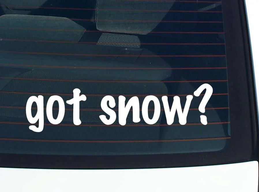 got snow? FUNNY VINYL CAR DECAL STICKER FAMILY LAST NAME