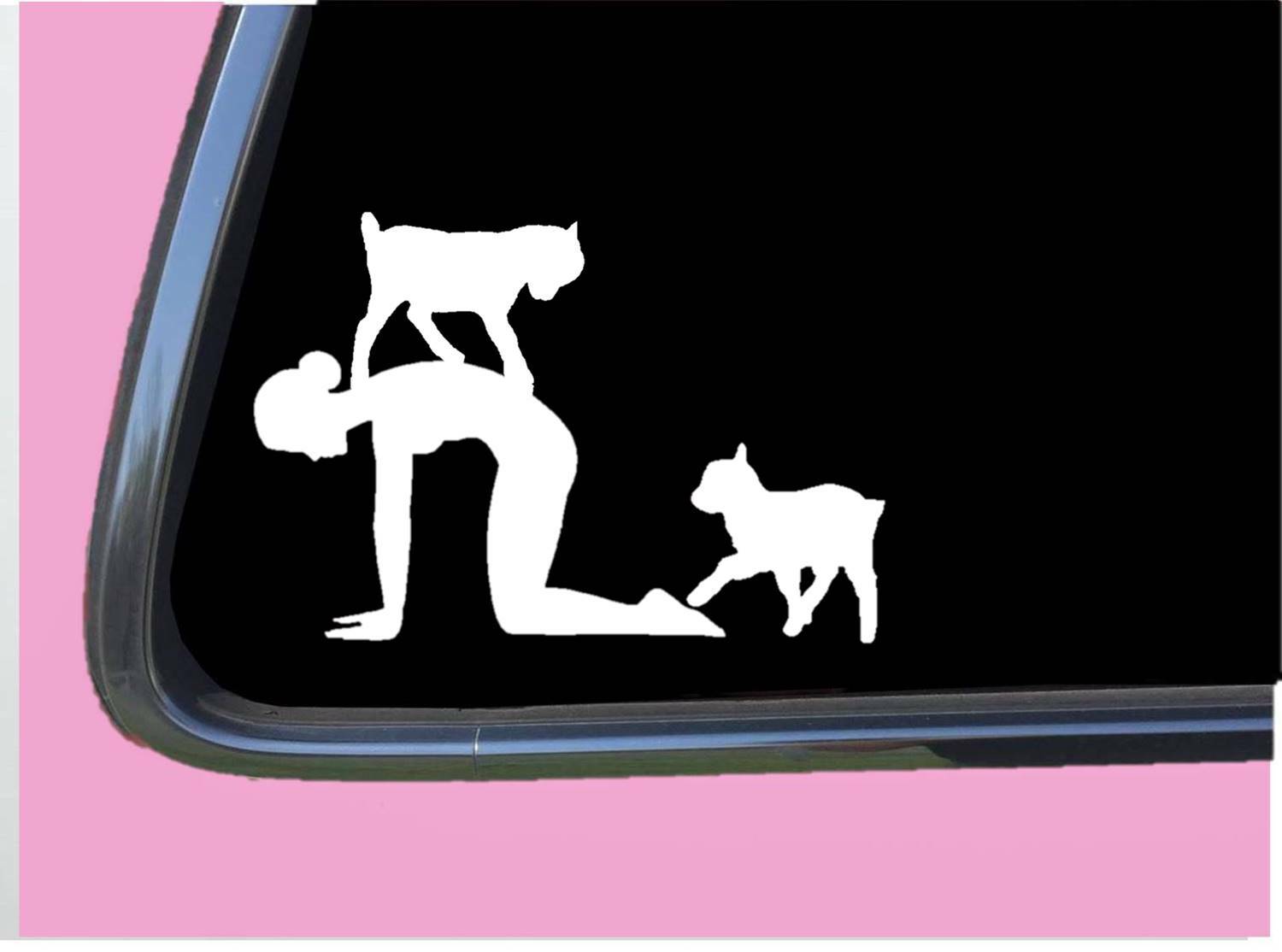 Goat Yoga pose 8" sticker decal TP 789 mat blocks