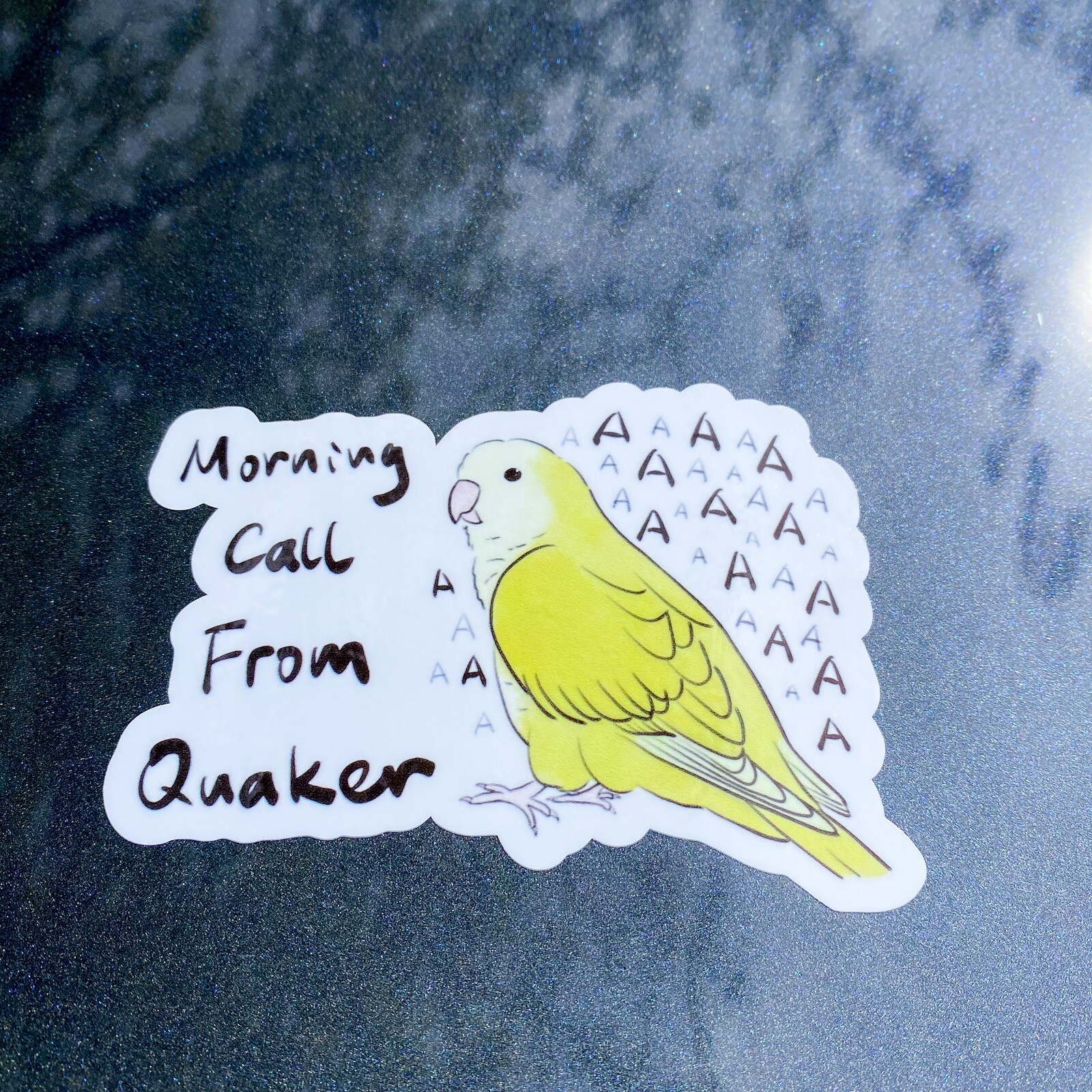 CAR Sticker Yellow Quaker Parrot Monk Parrot Outdoor use/UV & Water Proof