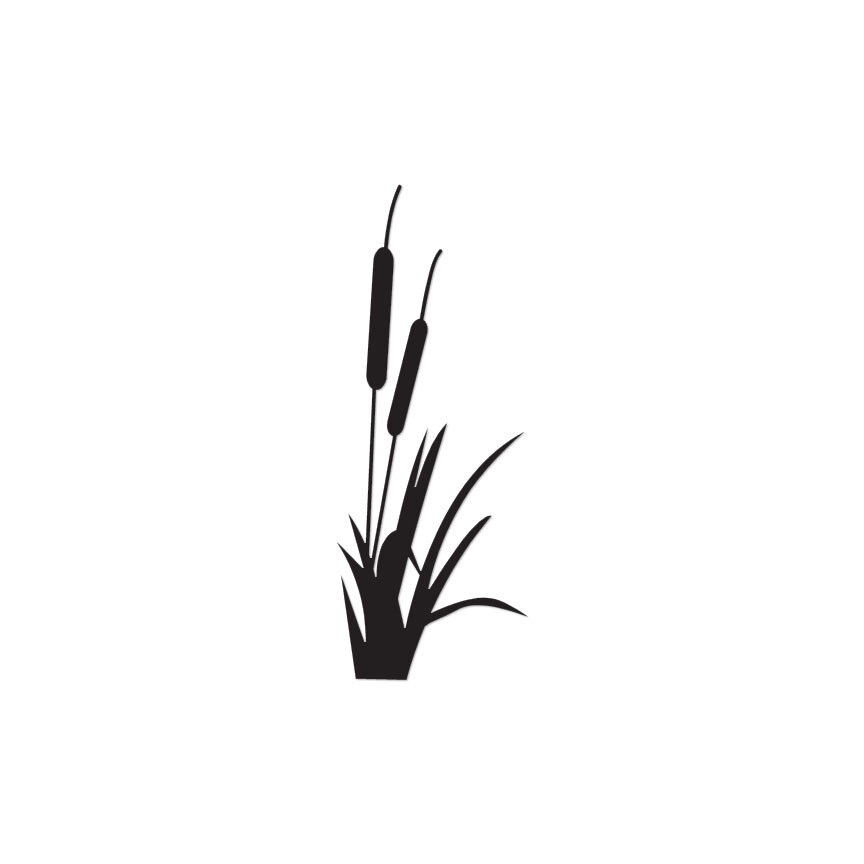 Cattails Typha Water Plant – Decal Sticker – Multiple Colors & Sizes – ebn3866
