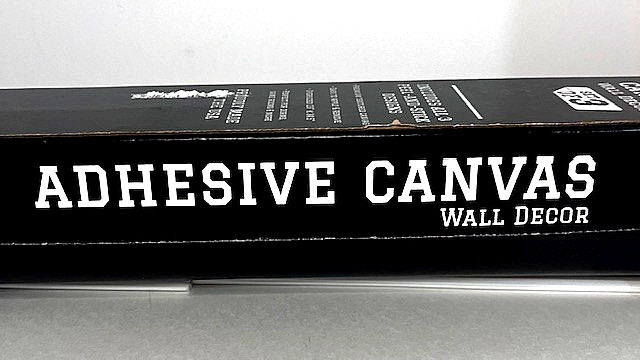🏈 Iowa Hawkeyes University Adhesive Canvas Wall Décor – Set of 3