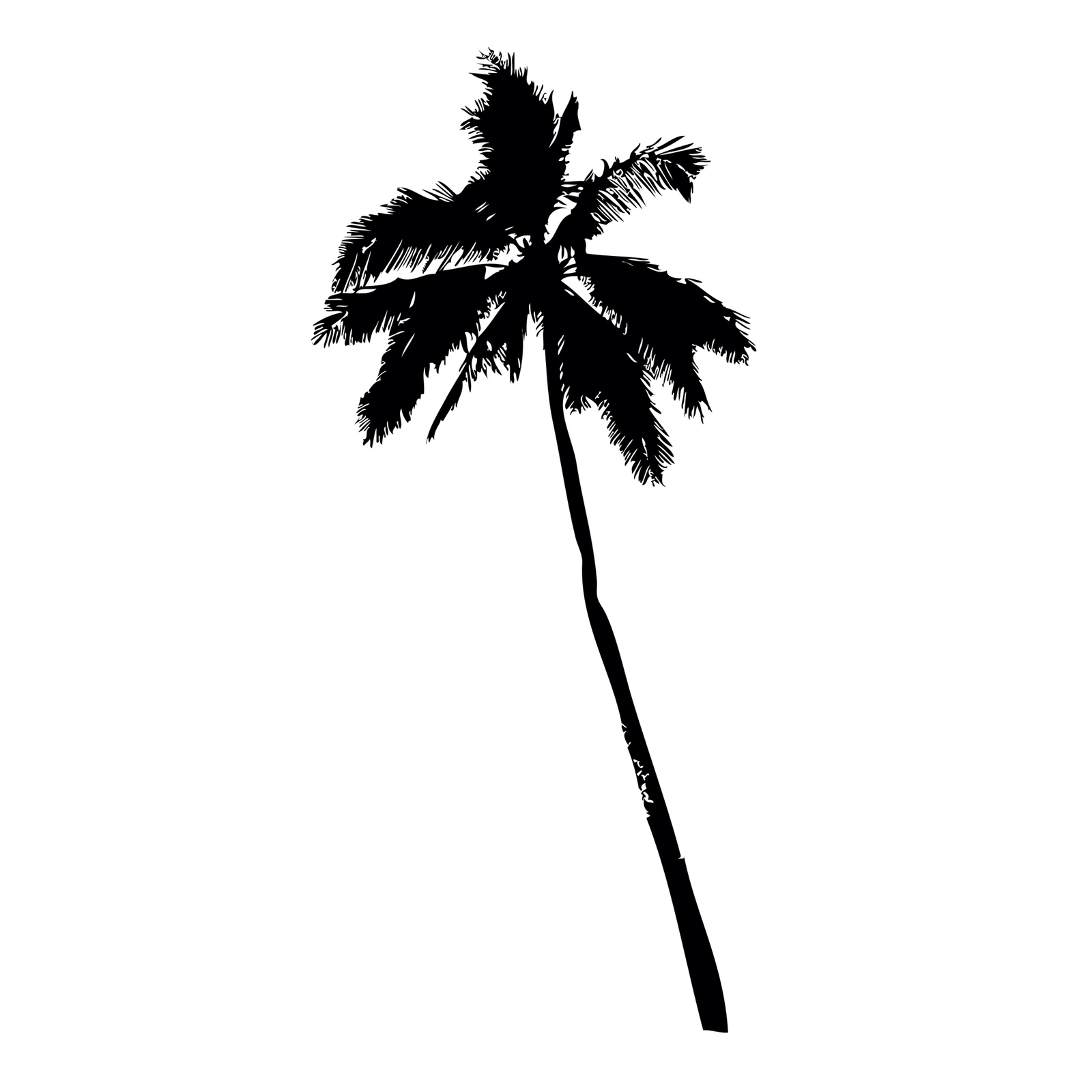 Tropical Palm Tree Vinyl Wall Decal Sticker. #JH238