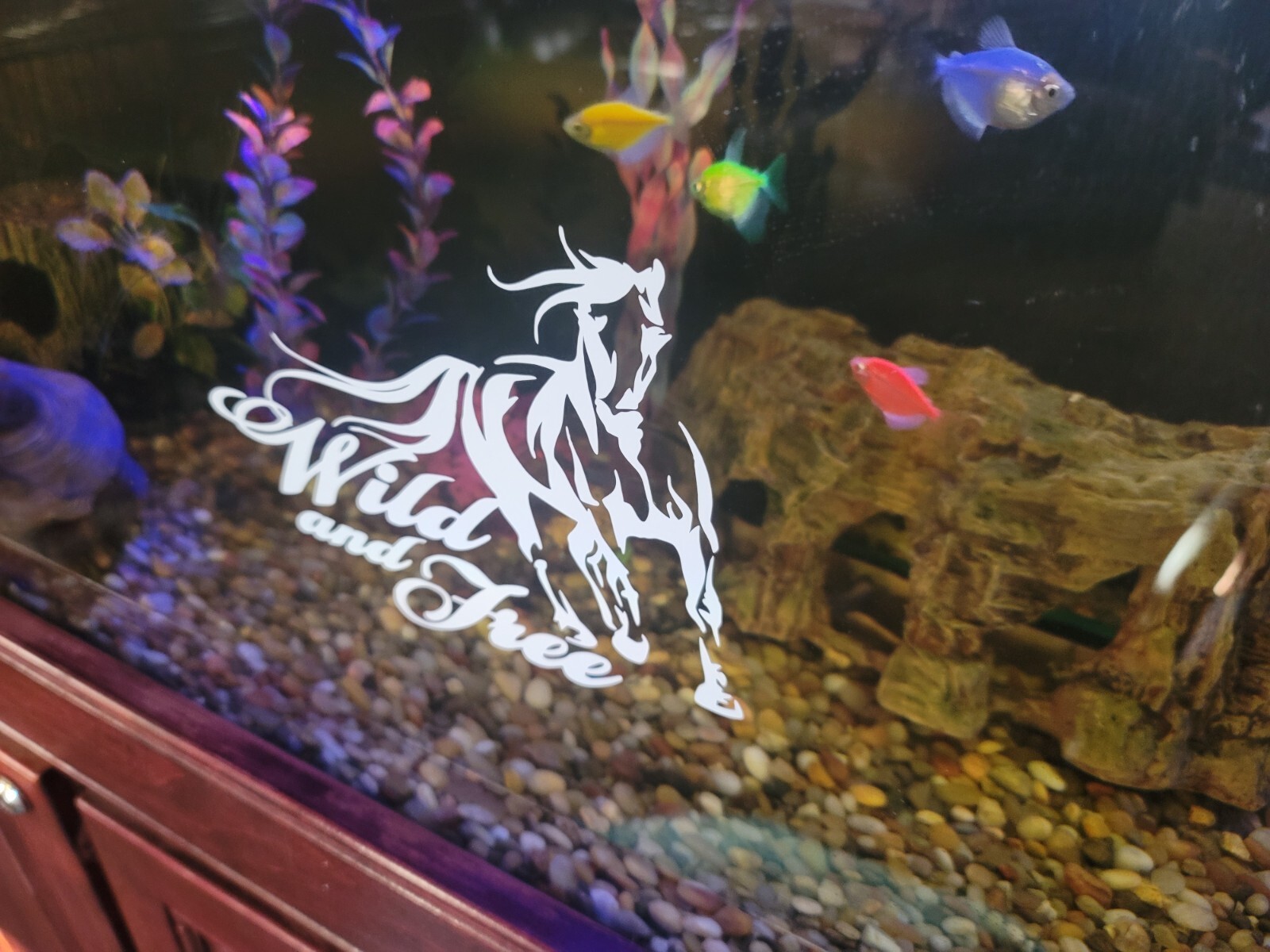 Beautiful disaster Decal For Window Or vehicle for women/ladies