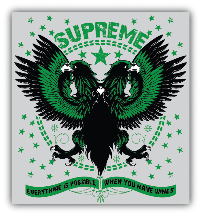 Supreme Flight Griffins Car Bumper Sticker Decal