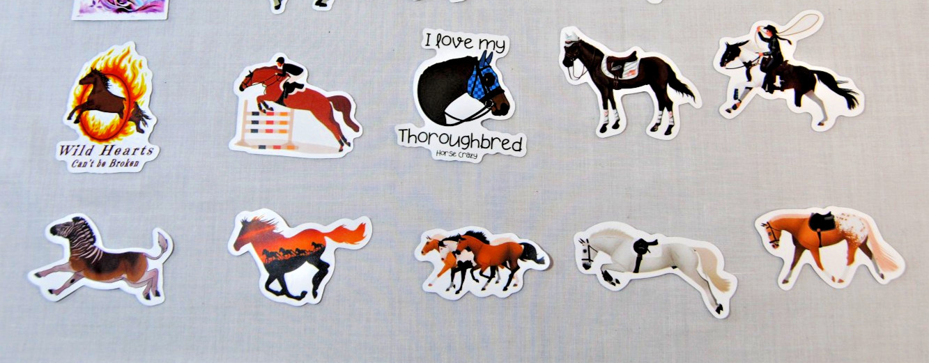 Horse Stickers for Laptop, Water Bottles Plus for Kids to Adults 200Pcs T2694