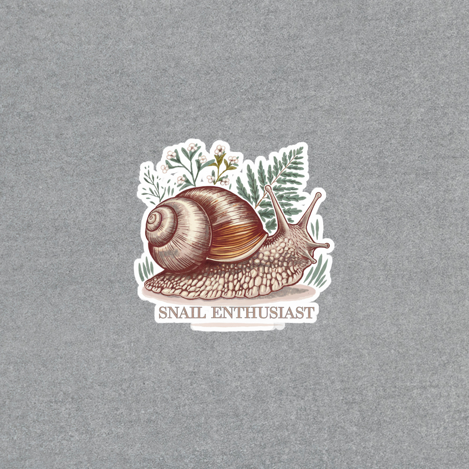 Vintage Snail Enthusiast Sticker – Naturalist Botanical Illustration #4544