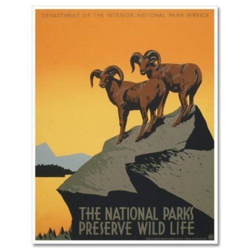 National Parks Preserve Wildlife Vintage Poster Vinyl Sticker – SELECT SIZE
