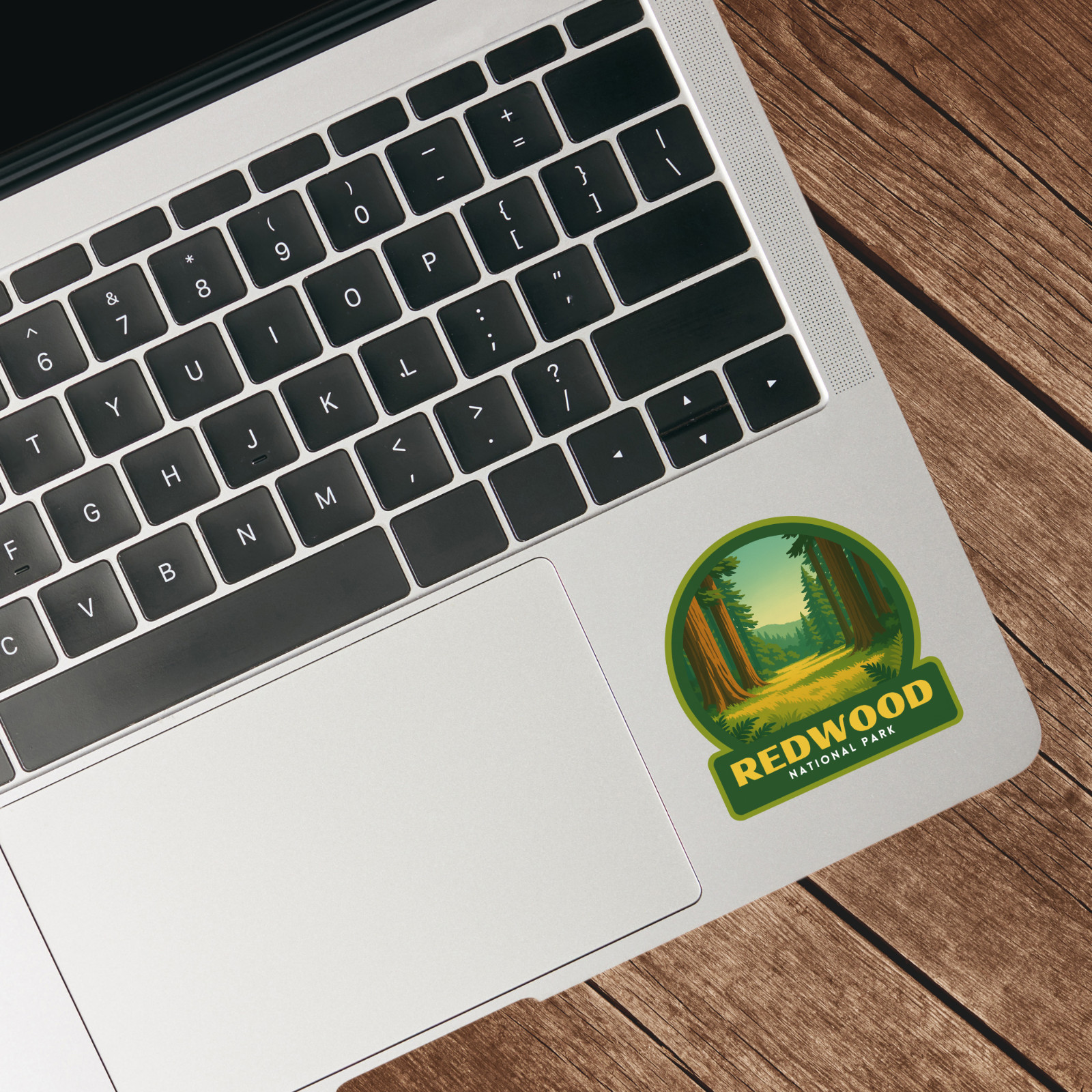 Redwood National Park Sticker Vinyl Decal Laptop Water Bottle Cooler