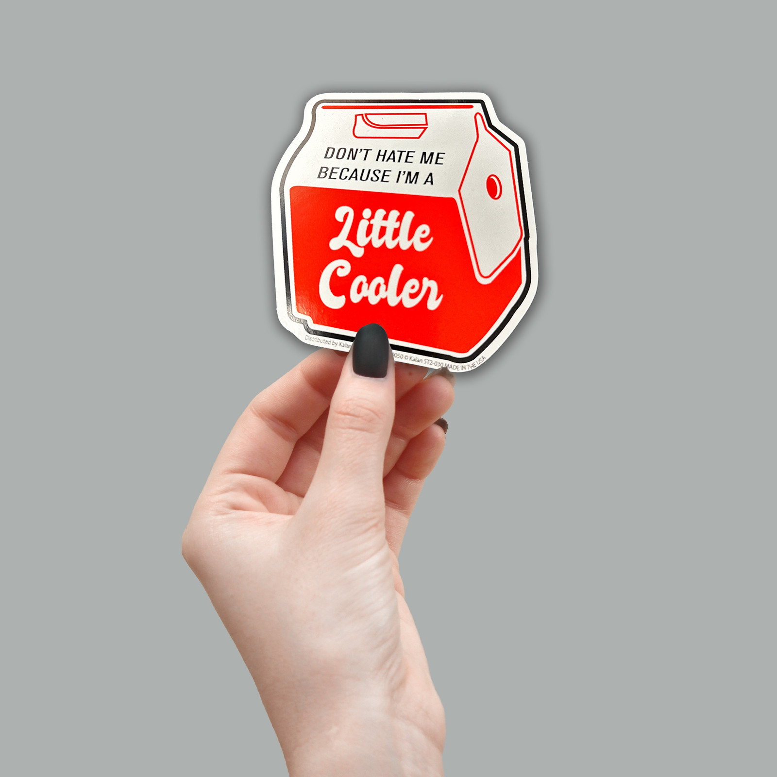 "Don't Hate Me Because I'm A LITTLE COOLER" Sticker Die-Cut Decal – Made in USA