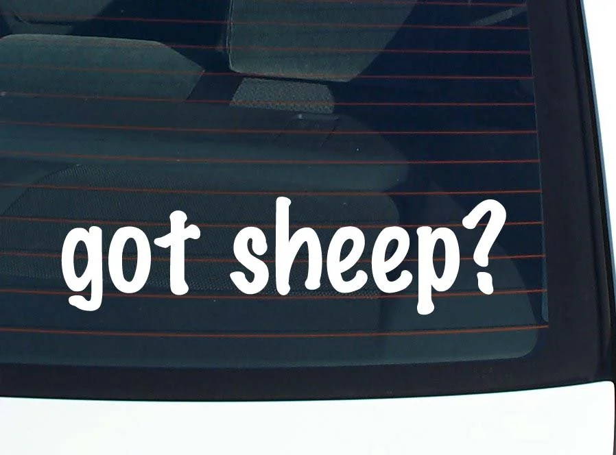got sheep? CAR DECAL BUMPER STICKER VINYL FUNNY JOKE WINDOW