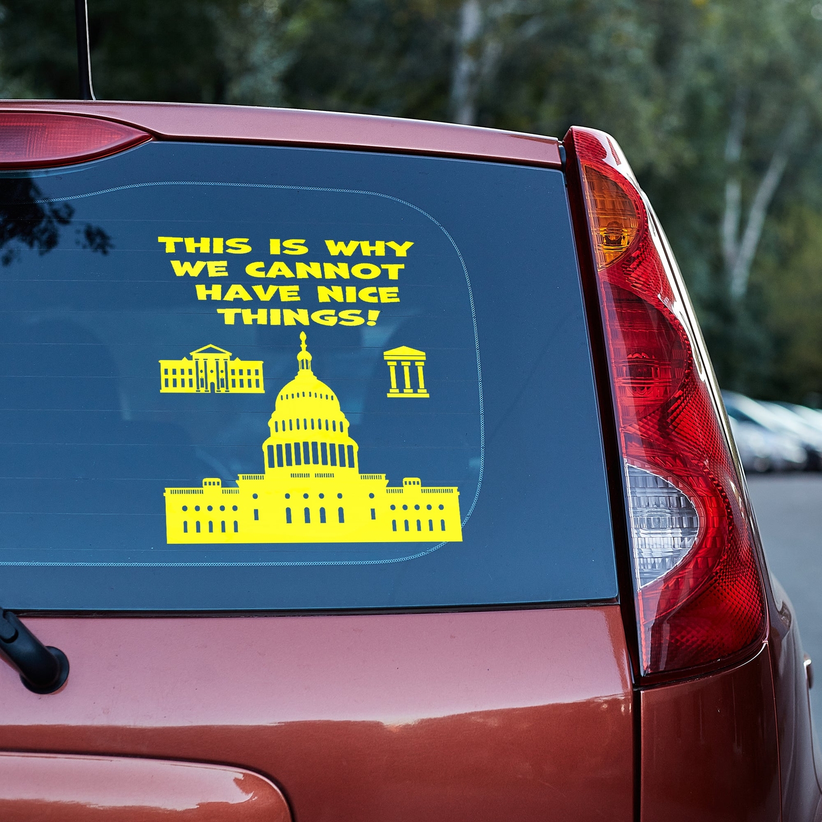 This is why we cannot have nice things Vinyl decal anti government funny