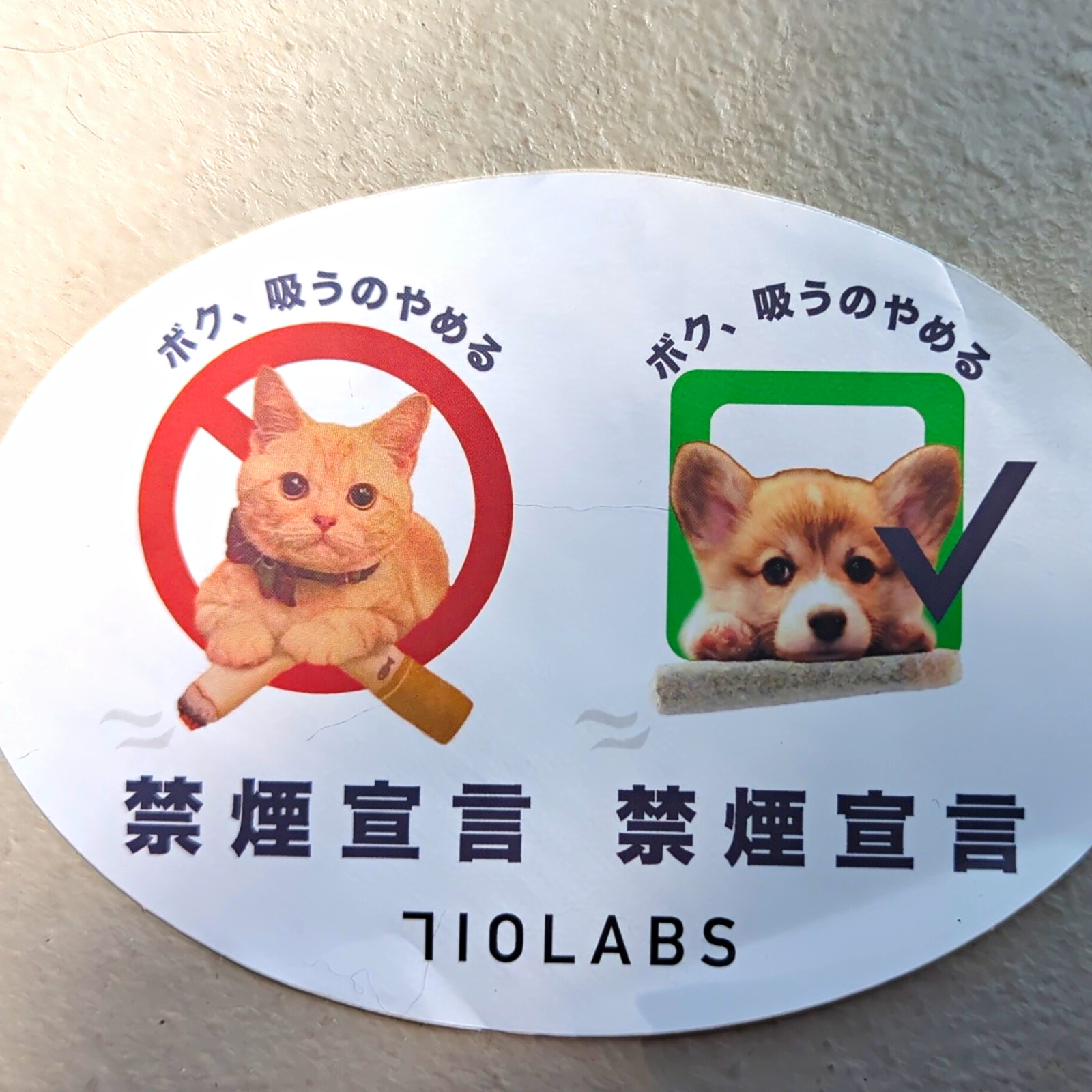 710 LABS Rare Cat Dog Vinyl Sticker