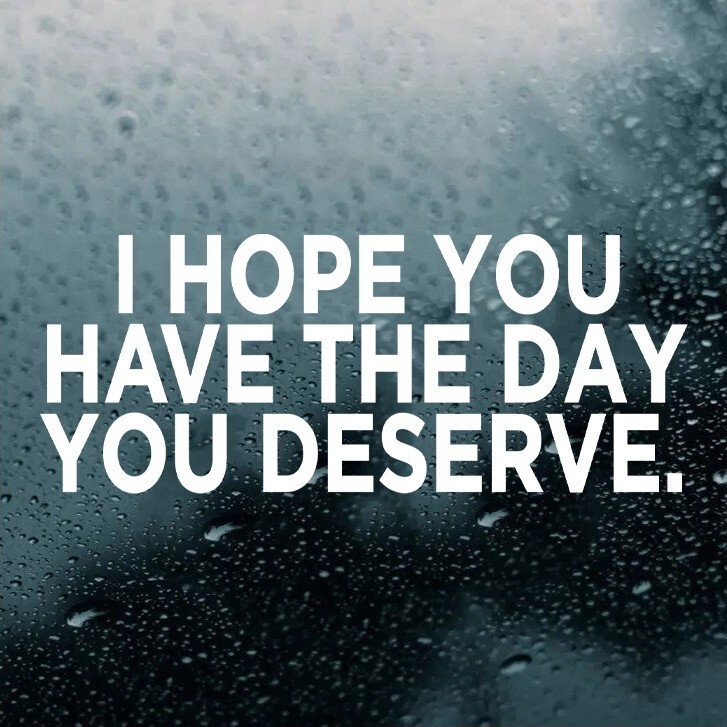 I Hope You Have The Day You Deserve Vinyl Decal | Karma Truth Bumper Sticker