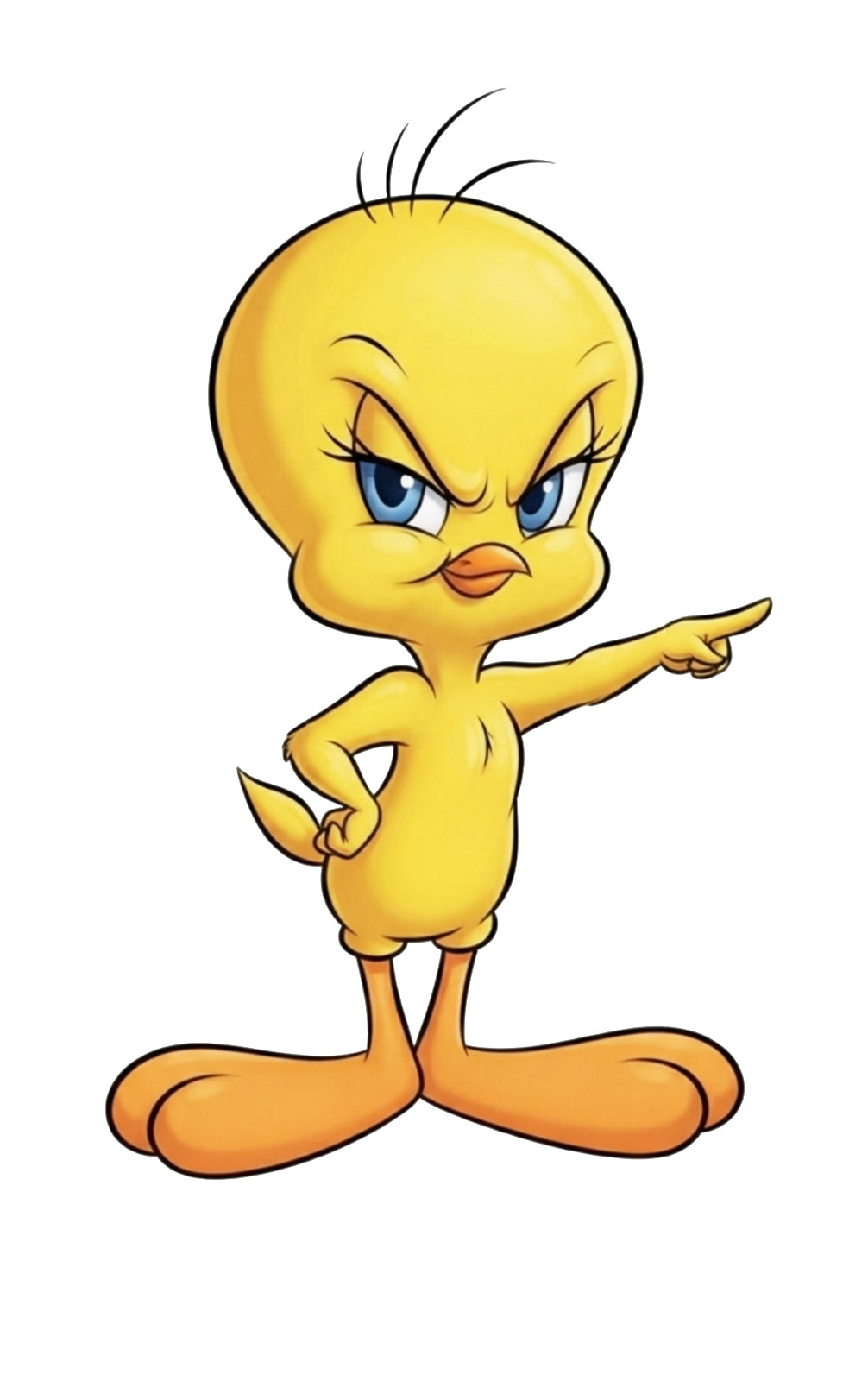 Tweety Bird Pointing You Expression Vinyl Sticker Decal Looney Tunes Cartoon