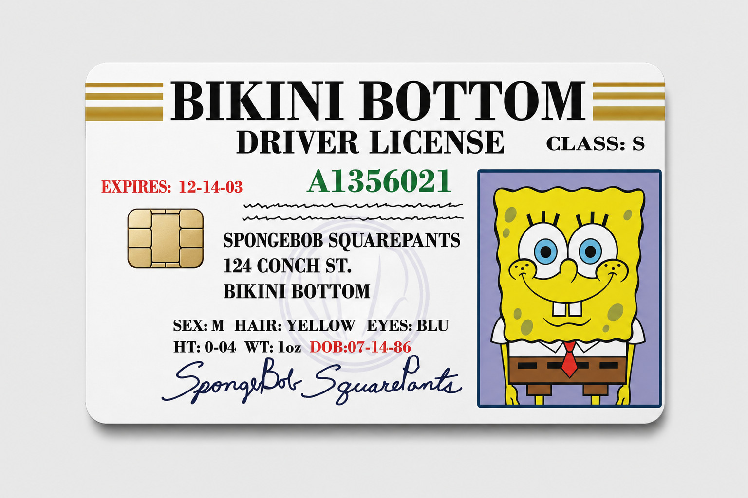 Sponge Bob Bikini Bottom Gang License Debit Card Skin Credit Card Skin Sticker